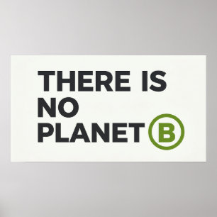 There Is No Planet B Environmentalist  Poster