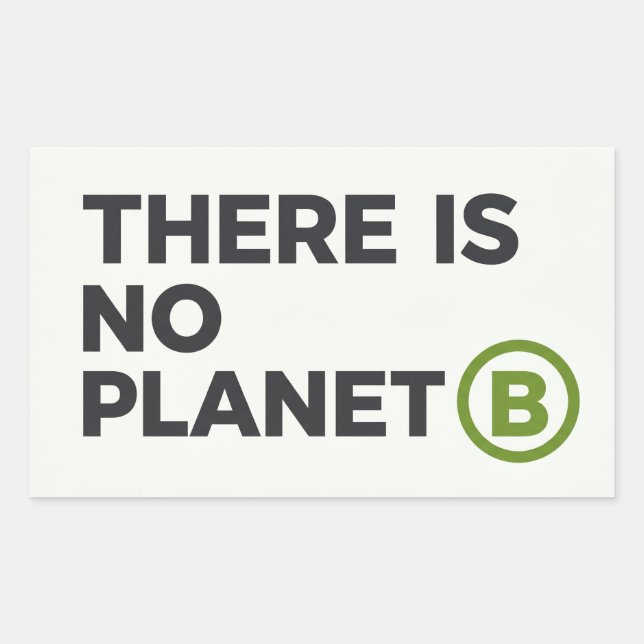 There Is No Planet B Environmentalist  Rectangular Sticker (Front)