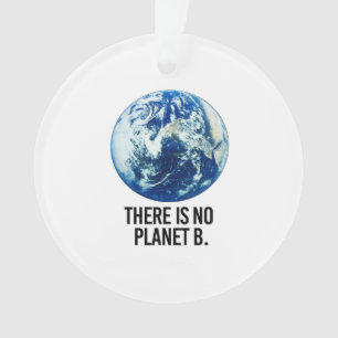 There is no Planet B Ornament