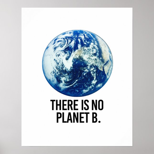 There is no Planet B Poster (Front)