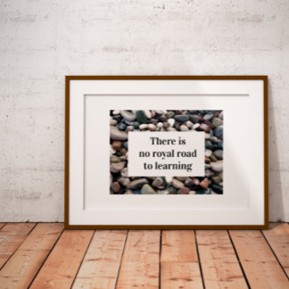 There is no royal road to learning Poster