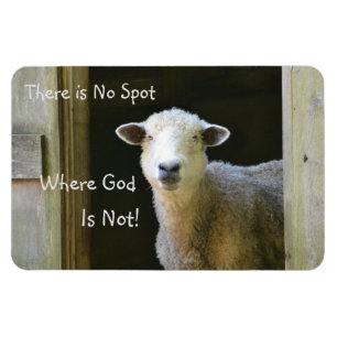 There Is No Spot Where God Is Not Sheep Magnet