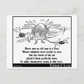 There was an old man in a tree postcard