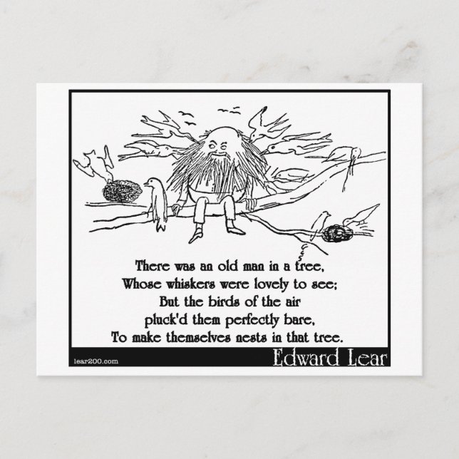 There was an old man in a tree postcard (Front)