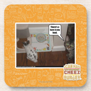 There's a hare in my food. coaster