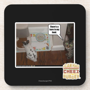 There's a hare in my food. coaster