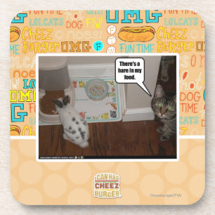 There's a hare in my food. coaster