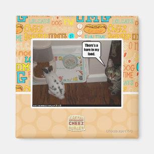 There's a hare in my food. magnet