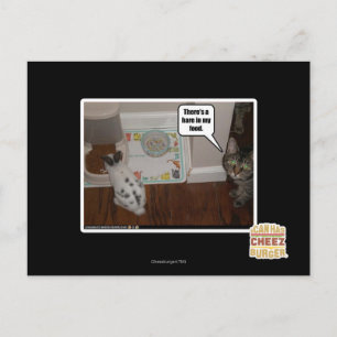 There's a hare in my food. postcard