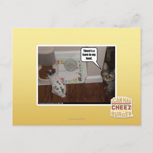 There's a hare in my food. postcard (Front)