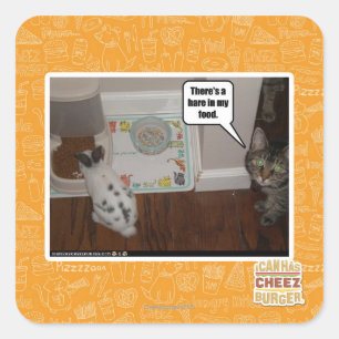 There's a hare in my food. square sticker