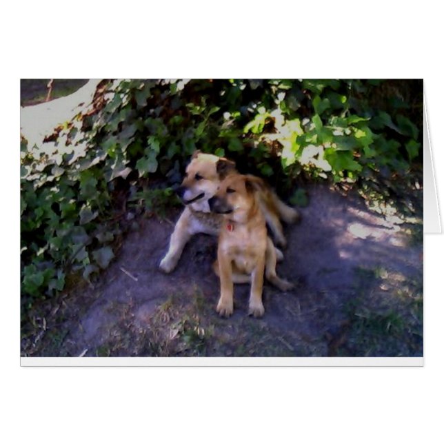 There's no place I would rather be (Front Horizontal)