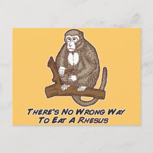 Theres No Wrong Way To Eat A Rhesus Postcard