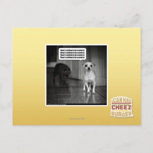 There's nothing to be scared of postcard