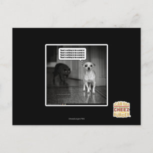 There's nothing to be scared of postcard