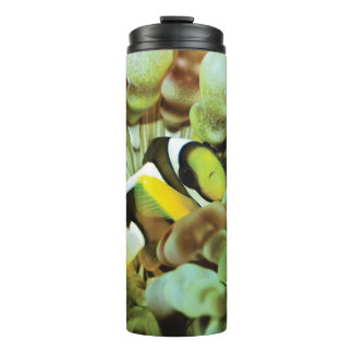 Thermal mug with clownfish design