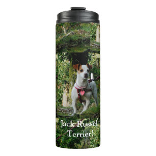 Thermal Tumbler/Jack Russell terrier! Thermal Tumbler