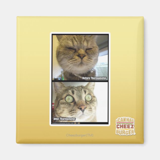 Thermometer Magnet (Front)