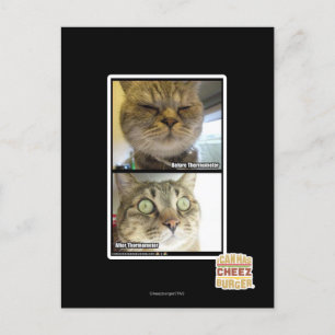 Thermometer Postcard