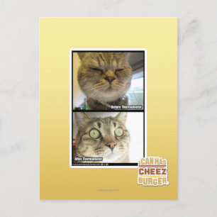 Thermometer Postcard