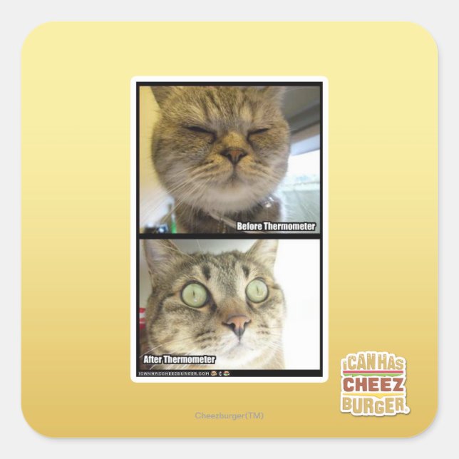 Thermometer Square Sticker (Front)