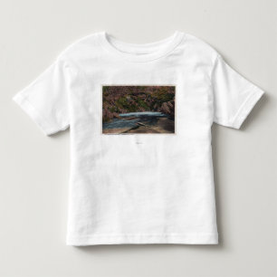 Thermopolis, WY - Big Horn Hot Springs View Toddler T-Shirt