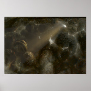 Therone Weird cave Poster