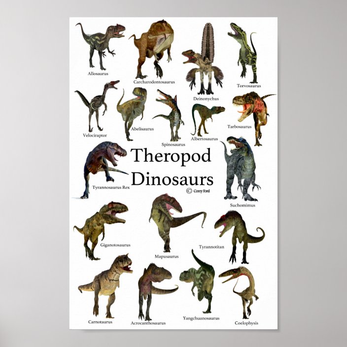 Theropod Dinosaurs Poster | Zazzle.co.uk