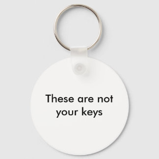 These are not your keys key ring