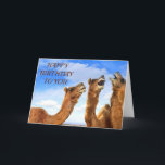 THESE CAMEL SING "HAPPY BIRTHDAY! CELEBRATE YOU! CARD<br><div class="desc">THESE CAMEL ARE SO "READY" TO SING "HAPPY BIRTHDAY" TO THE YOUR "FRIEND" OR "FAMILY MEMBER" OR EVEN A BOSS OR CO-WORKER AND BOTH YOUNG,  OLD,  AND YOUNG AT HEART!!!!</div>