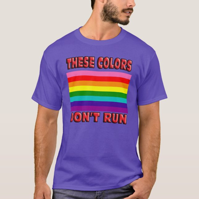 These colours dont run. Original 8 stripe LGBT T-Shirt (Front)