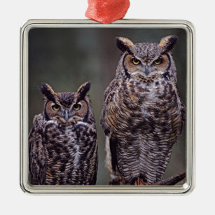 These Great Horned Owls (Bubo virginianus), Metal Tree Decoration