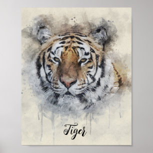 TheTiger Look  watercolor illustration   Poster