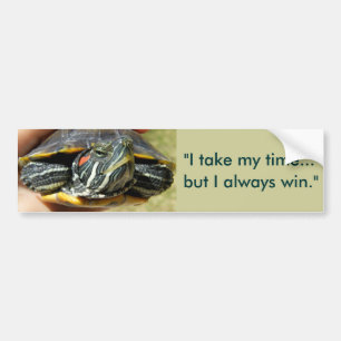 They call me turtle... bumper sticker
