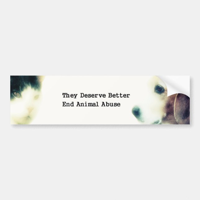 They Deserve Better Bumper Sticker (Front)
