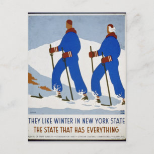 They like winter in New York State Postcard