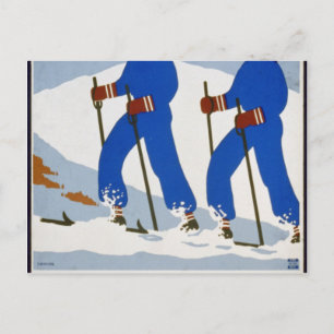 They like winter in New York State Postcard