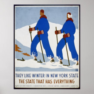 They Like Winter in New York State Poster