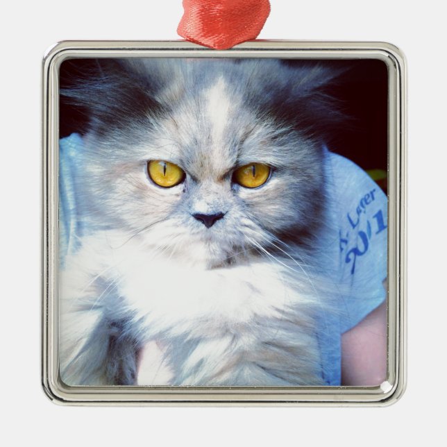 they persian cat 5 metal tree decoration (Front)
