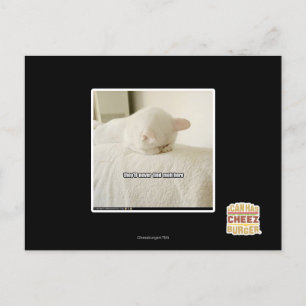 they'll never find meh here postcard