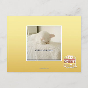 they'll never find meh here postcard