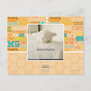 they'll never find meh here postcard