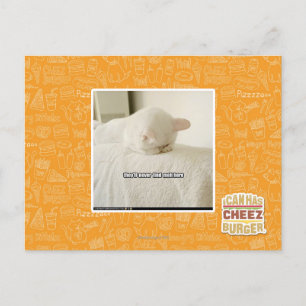 they'll never find meh here postcard