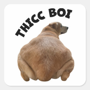 Thicc Boi Fat and Funny Yellow Labrador Retriever  Square Sticker