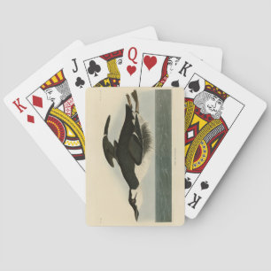 Thick-billed Murre - Audubon's Birds of America Playing Cards