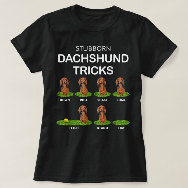 Thick Headed Dog - Funny Long Hair Dachshund for C T-Shirt (Design Front)