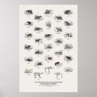 Thick-Skinned Quadrupeds - Naturalist's Library Poster