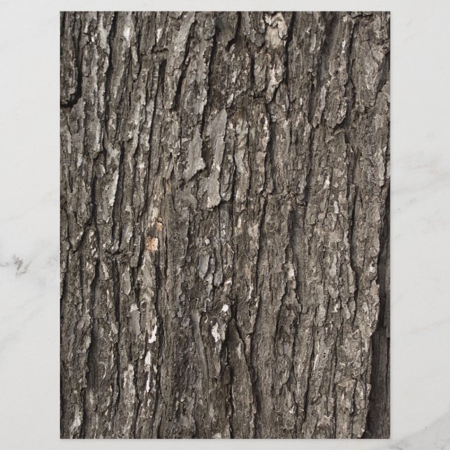 Thick Tree Bark (Front)