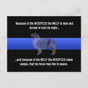 Thin Blue Line The Sheepdog Never Sleeps Postcard