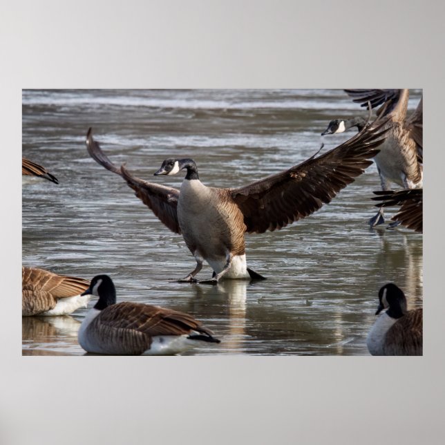 Thin Ice Poster (Front)